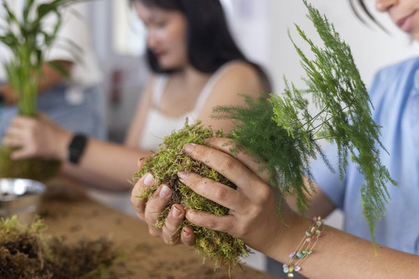 Atelier Kokedama à Bordeaux : apprenez l’art floral japonais et créez votre boule de mousse suspendue - La Green Touch