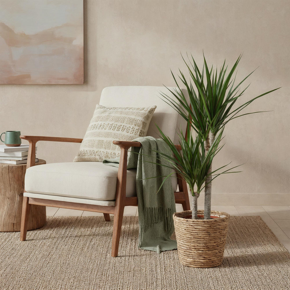 Livraison plante Dracaena Marginata et pot H95 cm