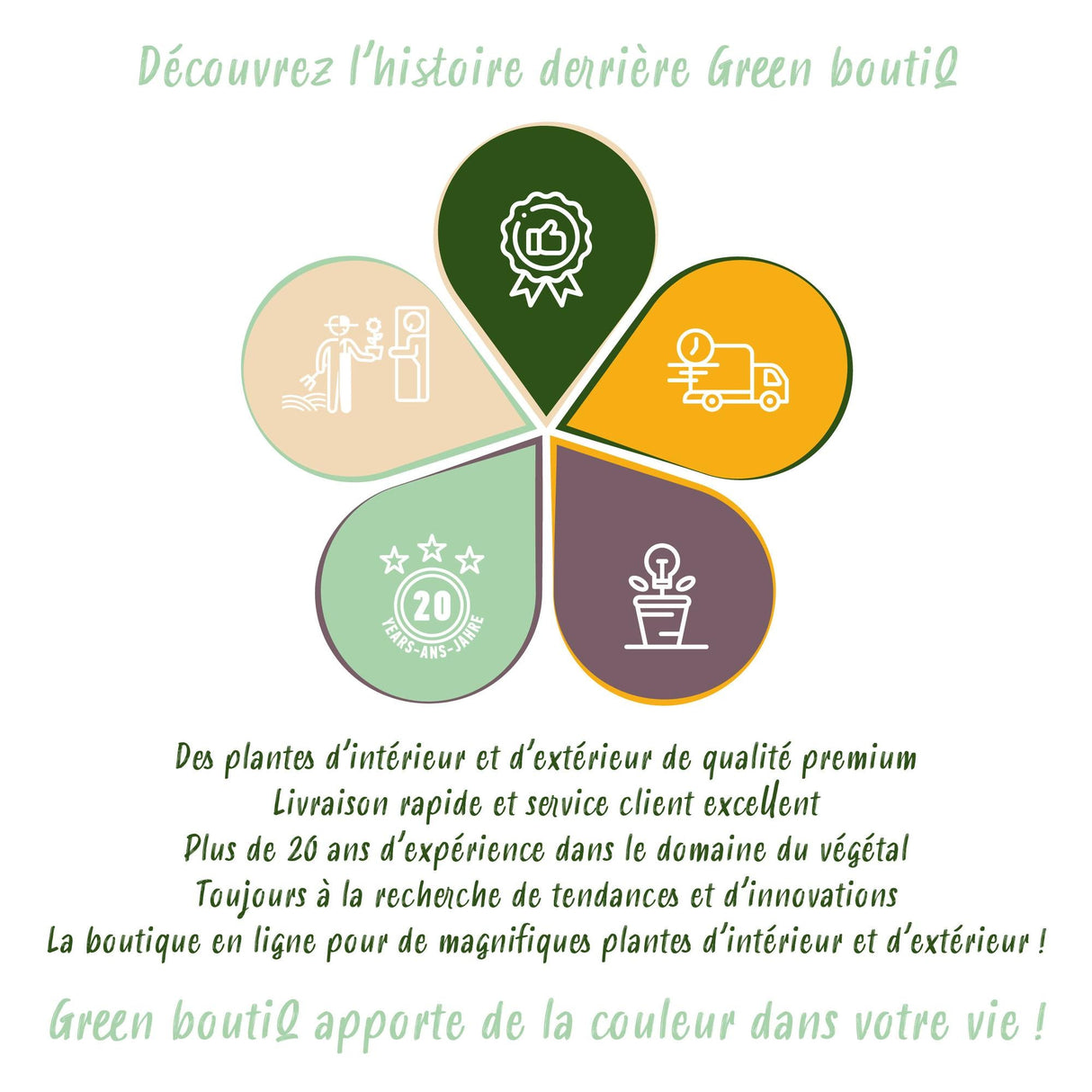 Livraison plante Groseillier à maquereau Hinnonmäki Grün – Lot de 3 – Pot 9cm