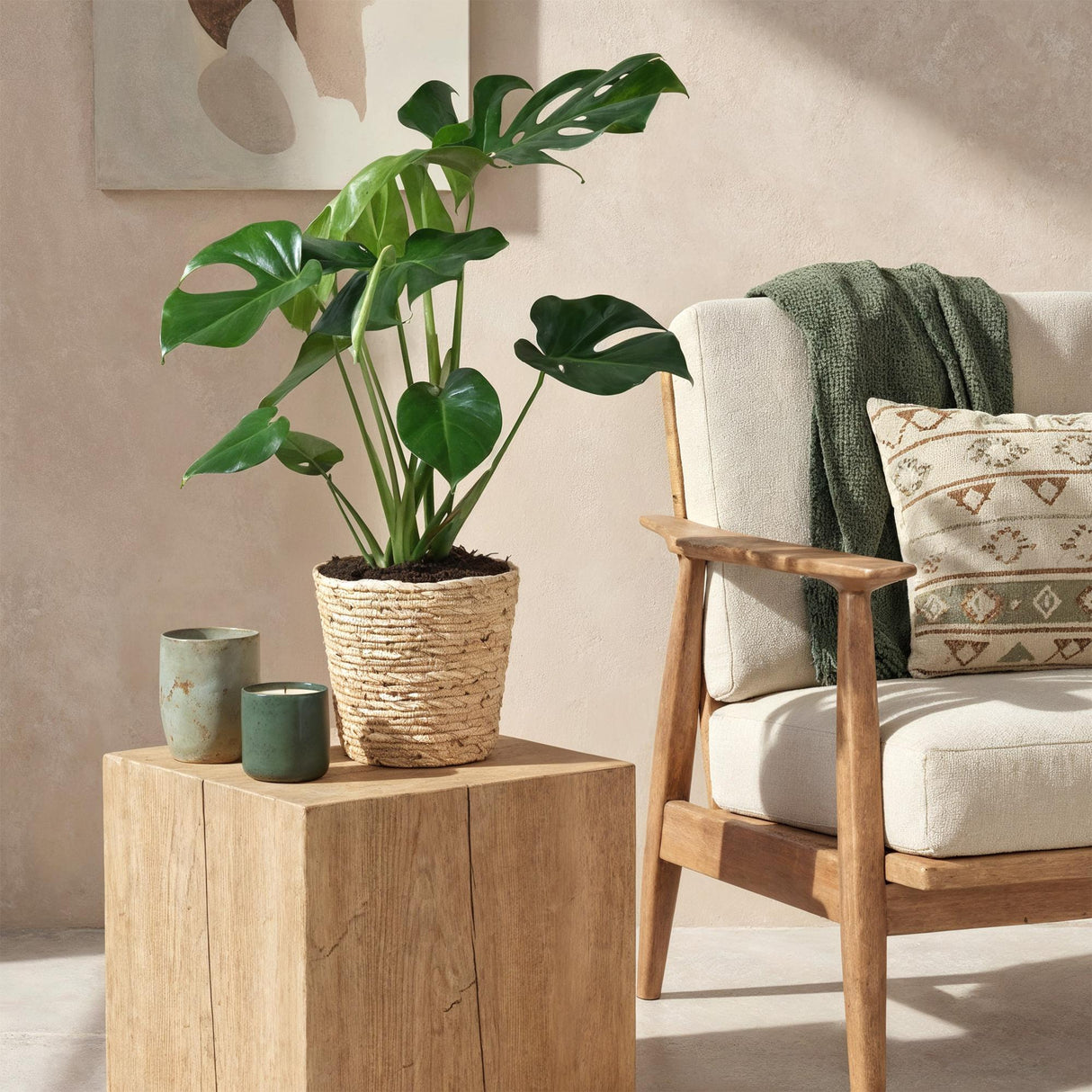 Livraison plante Monstera Deliciosa et panier H75 cm