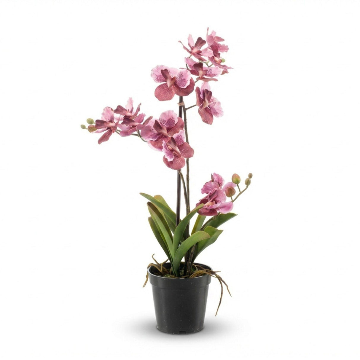 Orchidee Vanda artificielle h60cm