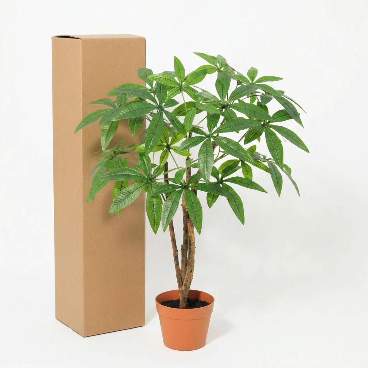 Pachira Aquatica artificiel h86cm