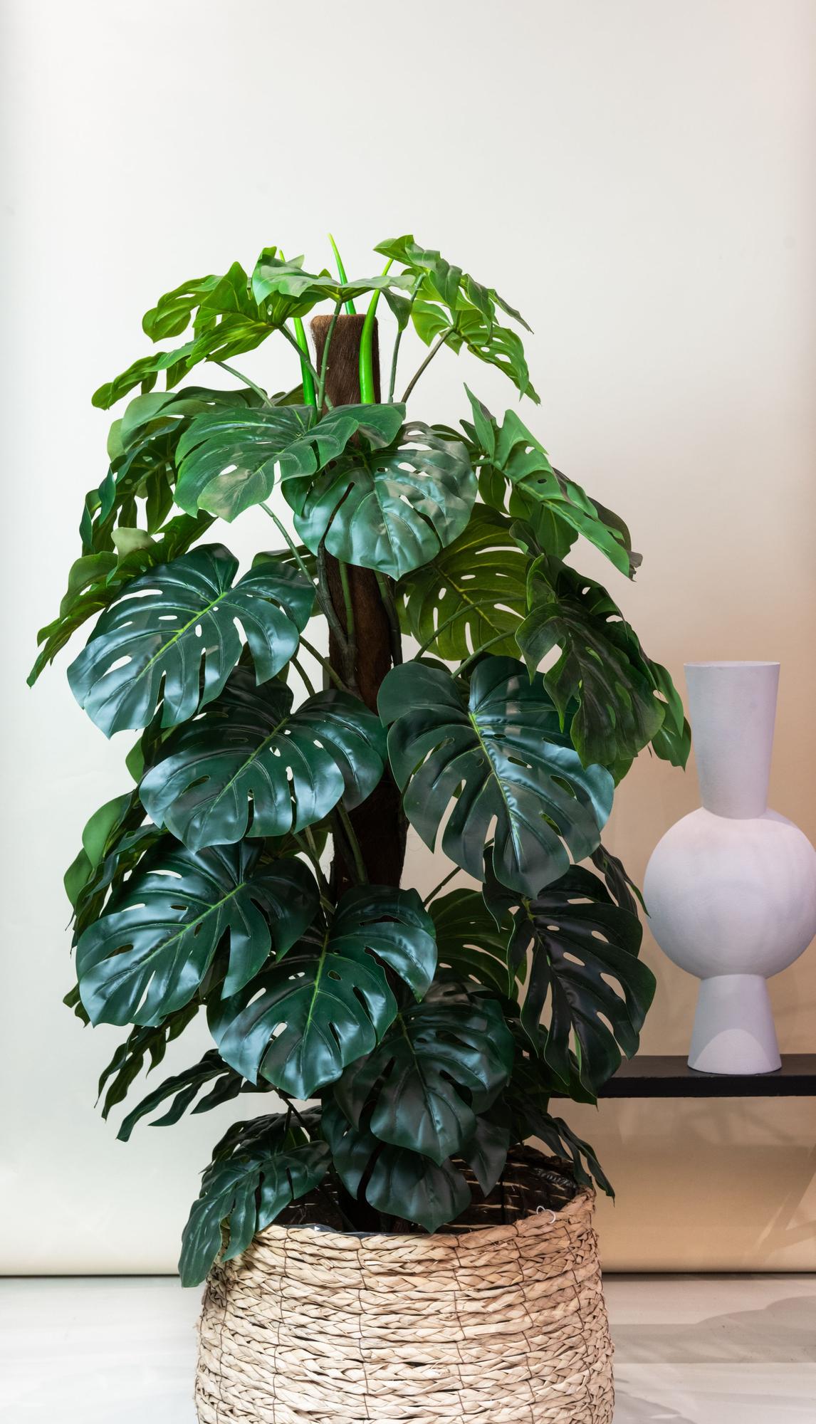 Monstera deliciosa artificiel h180cm