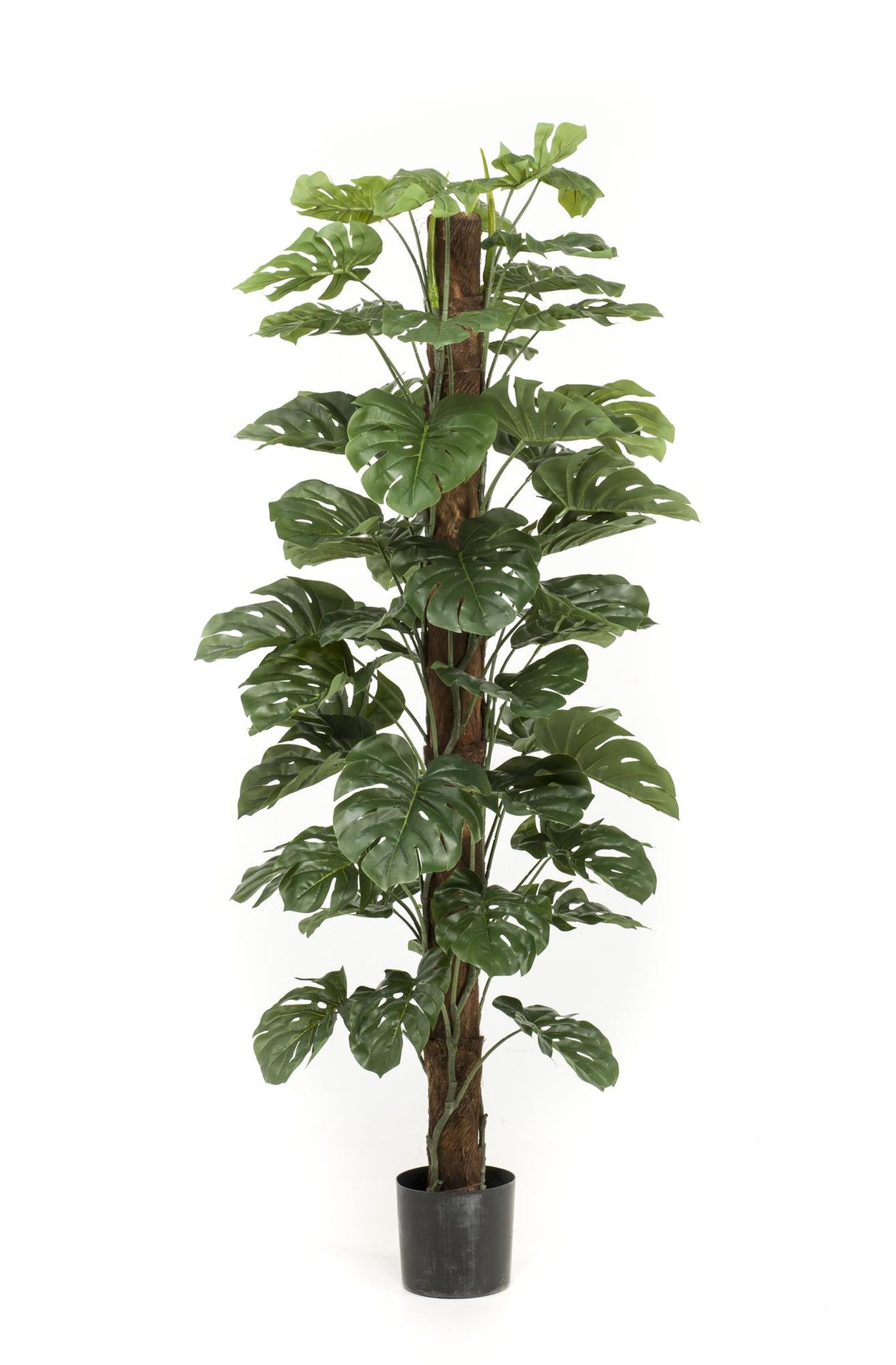 Monstera deliciosa artificiel h180cm
