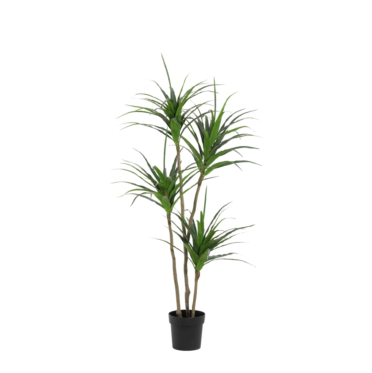 Dracaena plante artificielle h165cm