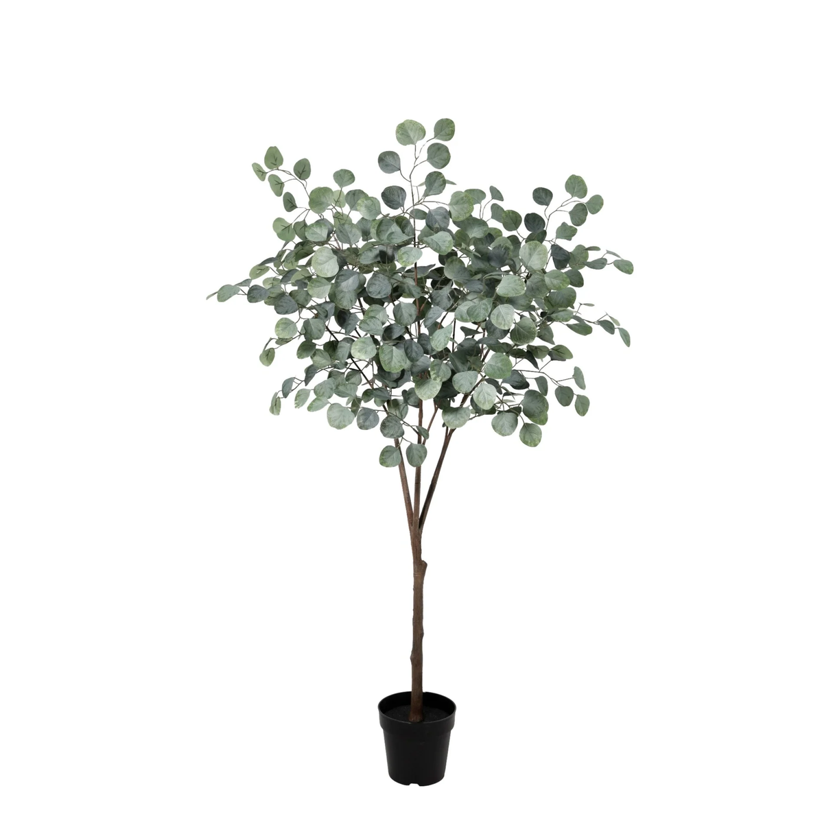 Eucalyptus artificiel h150cm