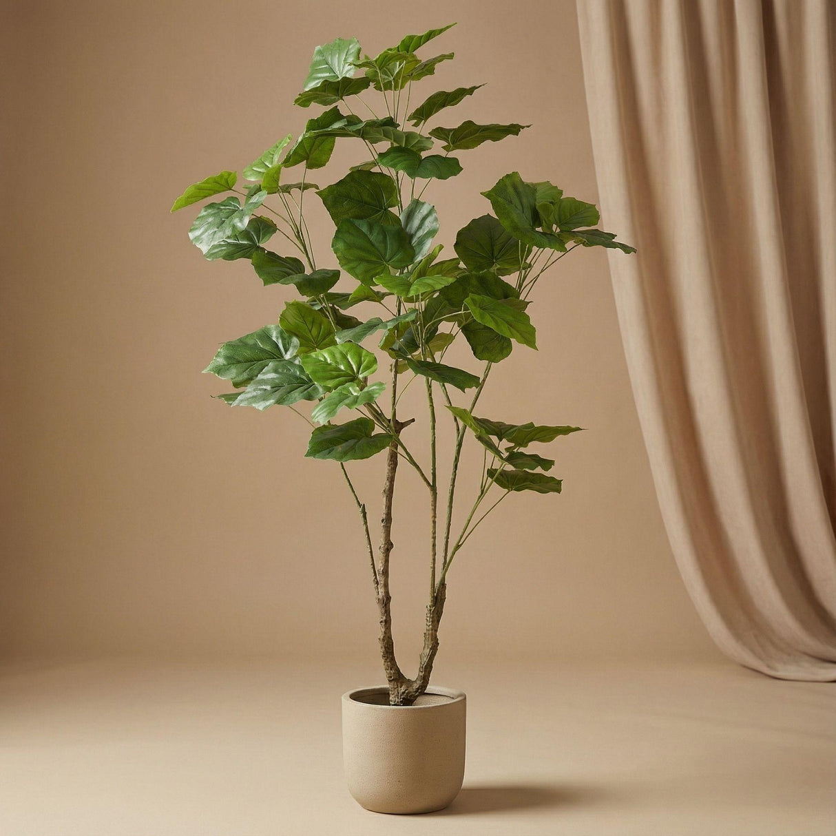 ficus Umbrella artificiel h125cm