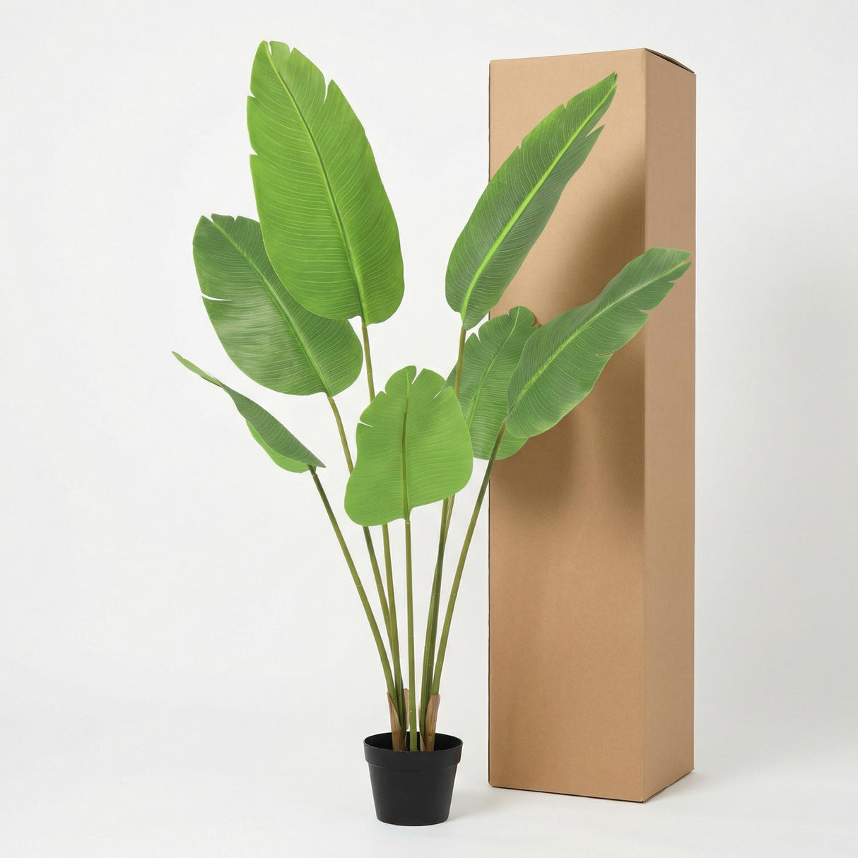 Strelitzia Nicolai artificiel h135cm