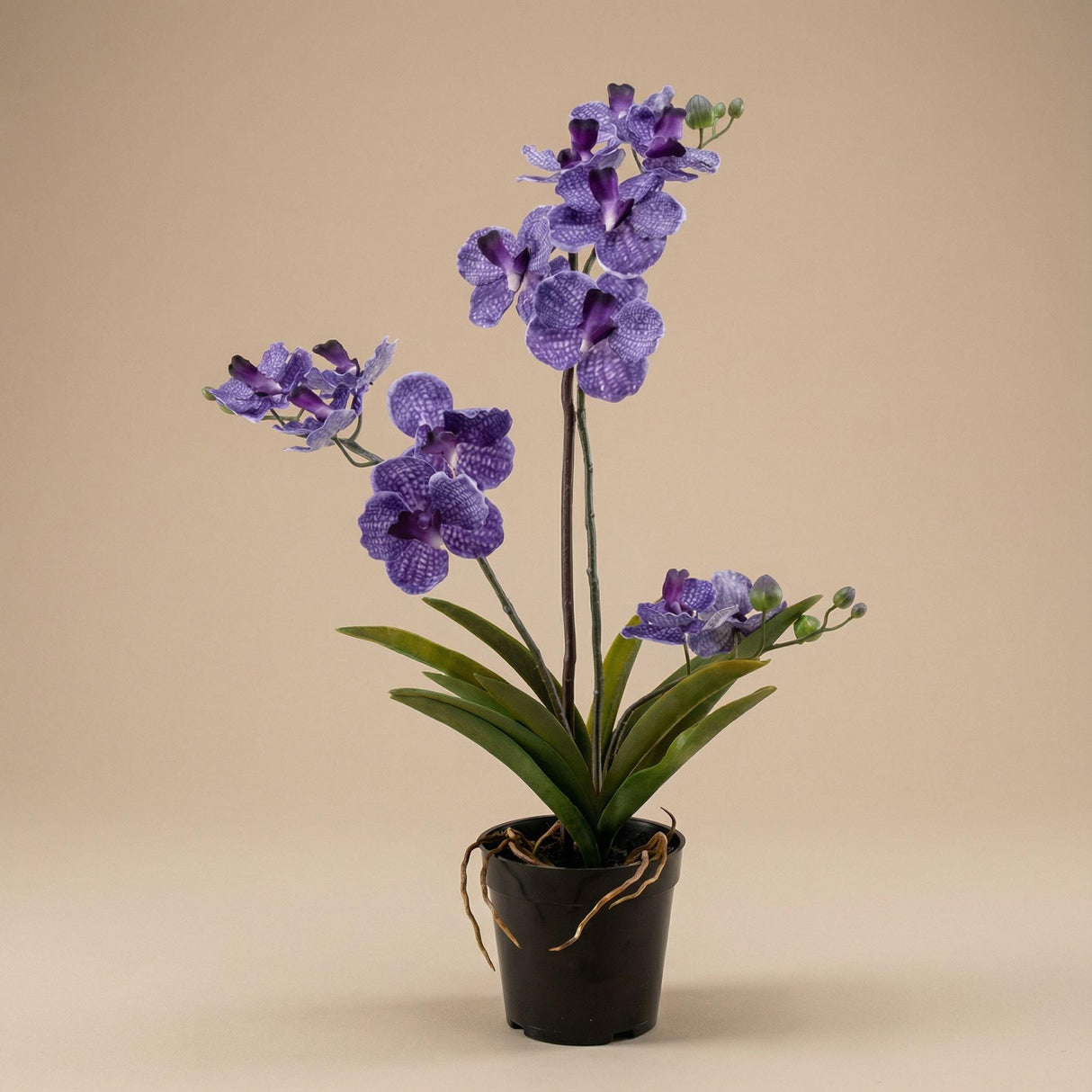 Orchidee Vanda violet artificiel h60cm pot inclus