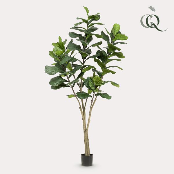 Kunstplante - Ficus Lyrata - Tabaksplante - 210 cm