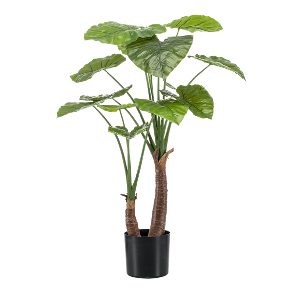 Alocasia artificiel h110cm