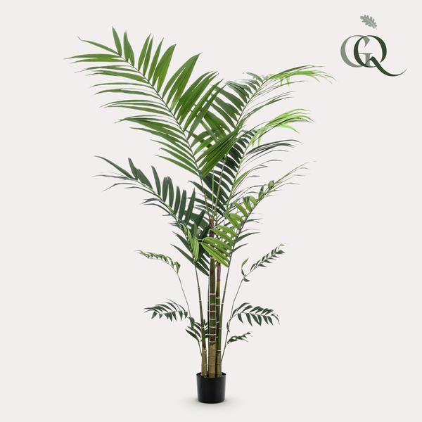 Kunstplante - Kentia -Kentiapalm - 210cm