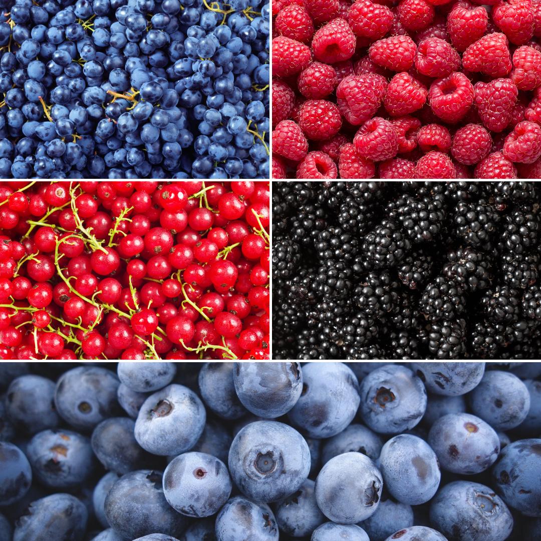 Entretien - Plantes Fruitières (Rubus idaeus, ribes rubrum, vaccinium corymbosum, vitis vinifera, rubus fruticosus) : Guide pratique - La Green Touch