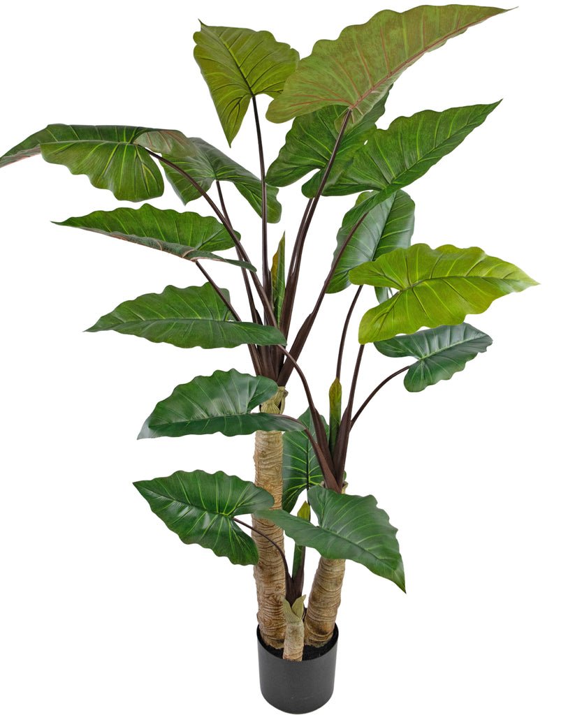 Livraison plante Alocasia - grande plante artificielle