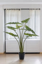 Livraison plante Alocasia plante artificielle - h90cm, Ø14cm