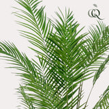 Livraison plante Areca Lutescens plante artificielle - h180cm, Ø17cm
