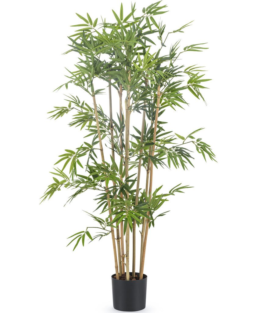 Livraison plante Bambou Japonais - Bambou artificiel