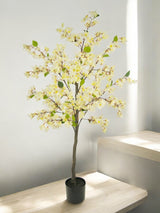 Livraison plante Bougainvillier blanc - Arbre artificiel