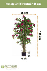 Livraison plante Bougainvillier Liane Fuschia - Arbre artificiel