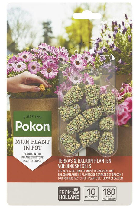 Livraison plante Cônes nutritionnels pour plantes de terrasse et balcon - 10 pièces