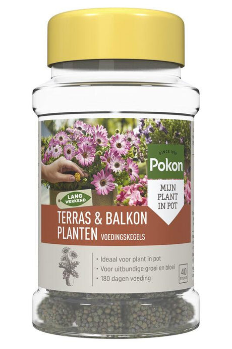 Livraison plante Cônes nutritionnels pour plantes de terrasse et balcon - 40 pièces
