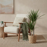 Livraison plante Dracaena Marginata