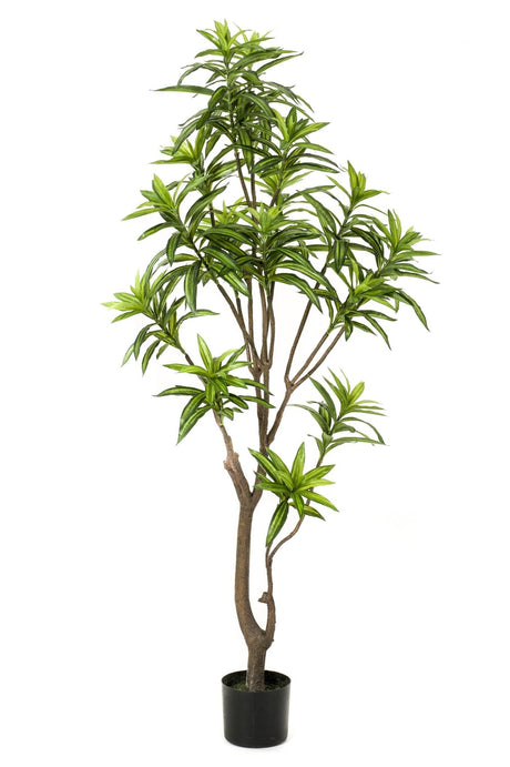 Livraison plante Dracaena plante artificielle - h160cm, Ø12cm