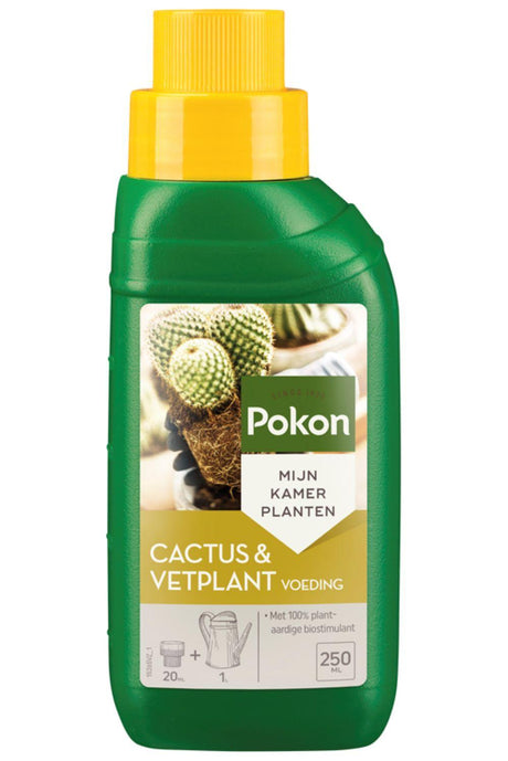 Livraison plante Engrais cactus et succulentes - 250ml