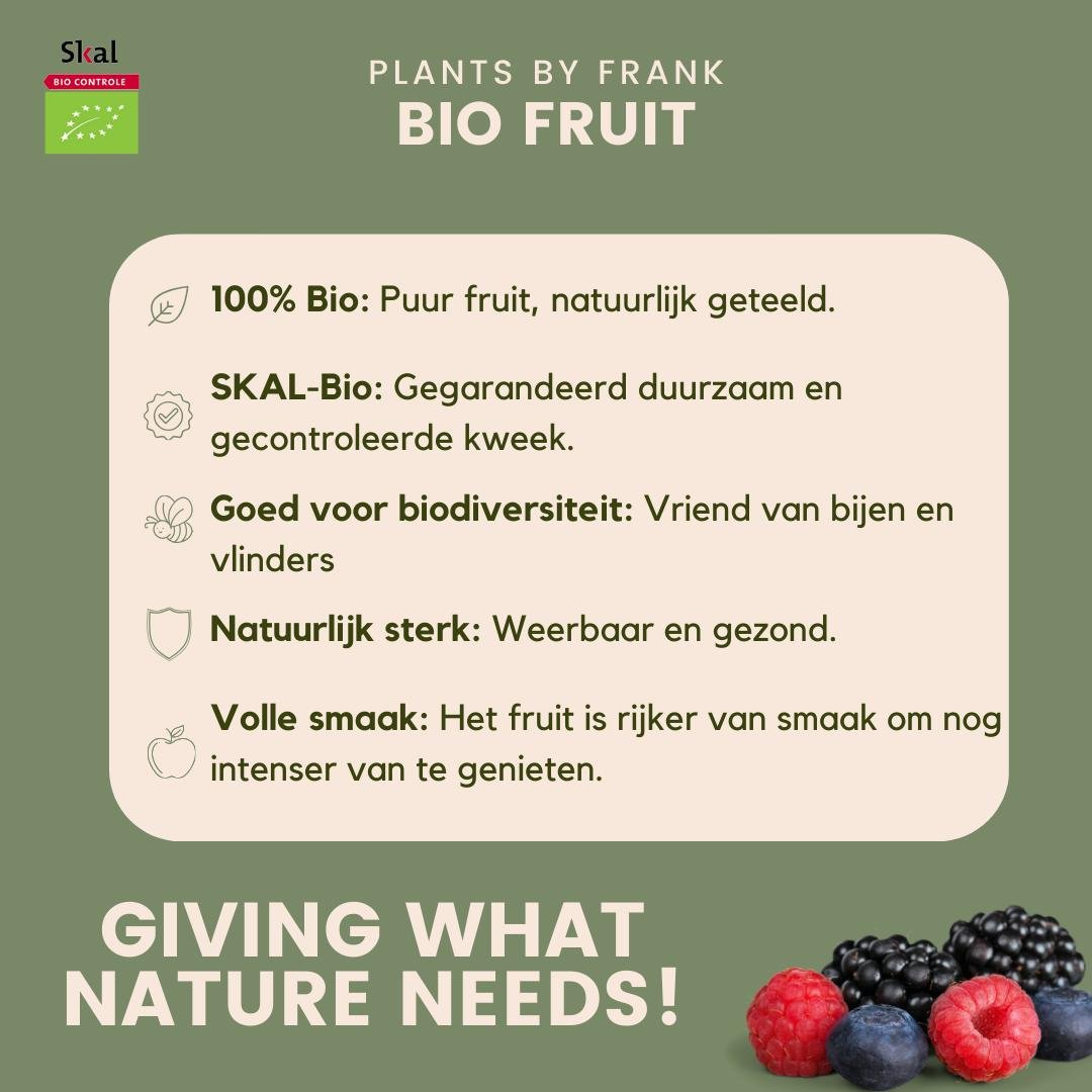 Livraison plante Ensemble de 3 plantes fruitières bio