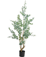 Livraison plante Eucalyptus - Arbre artificiel