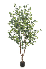 Livraison plante Eucalyptus plante artificielle - h180cm, Ø17cm
