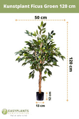 Livraison plante Ficus benjamina - Arbre artificiel