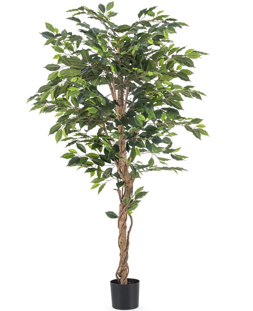 Livraison plante Ficus benjamina - Arbre artificiel