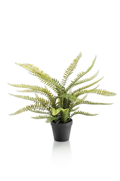 Livraison plante Fougère de Boston plante artificielle - h55cm, Ø15cm