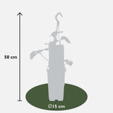 Livraison plante Fraisier ananas - ↨50cm - Ø15 - arbre fruitier - plante d'extérieur