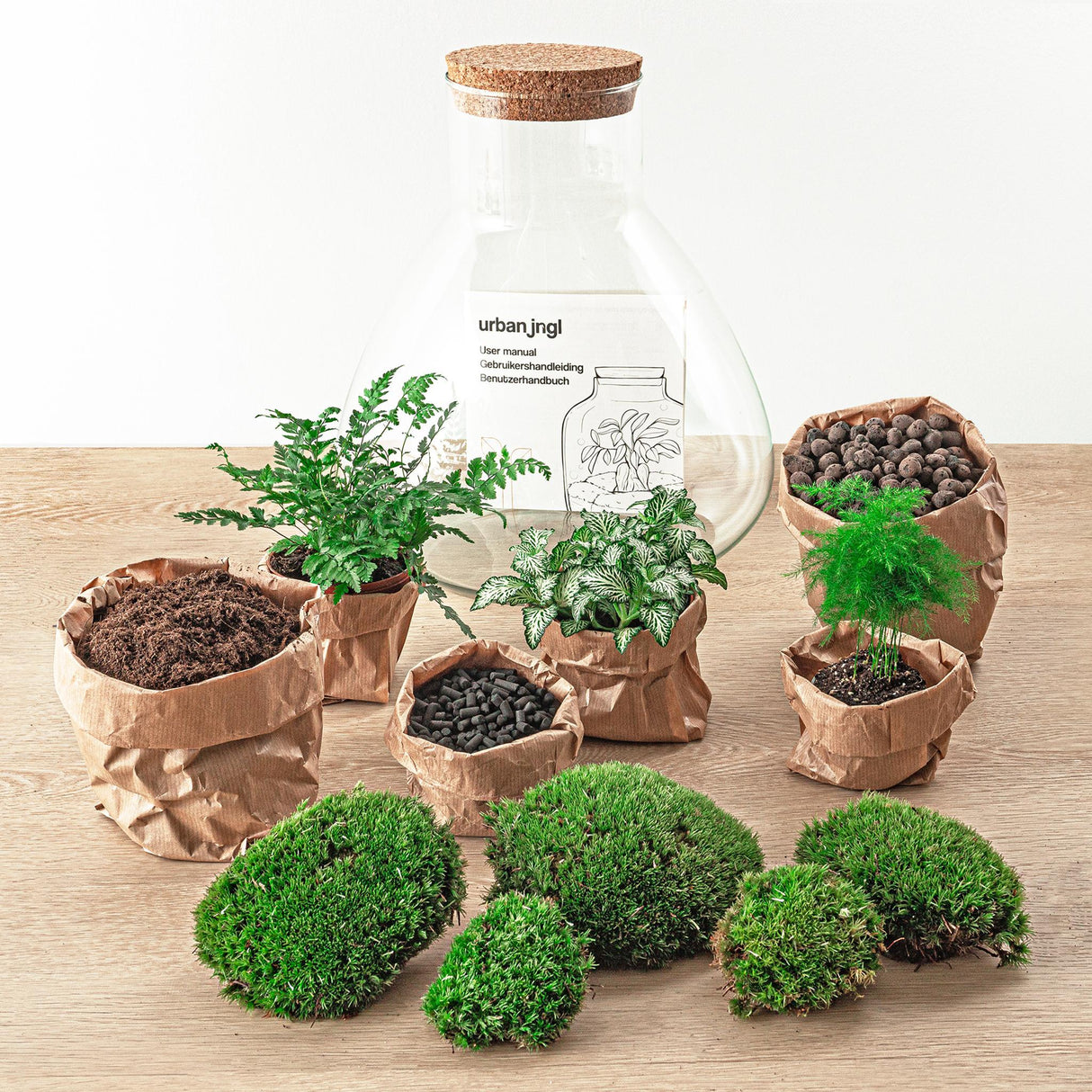 Livraison plante Kit Terrarium DIY 3 plantes - SAMOS