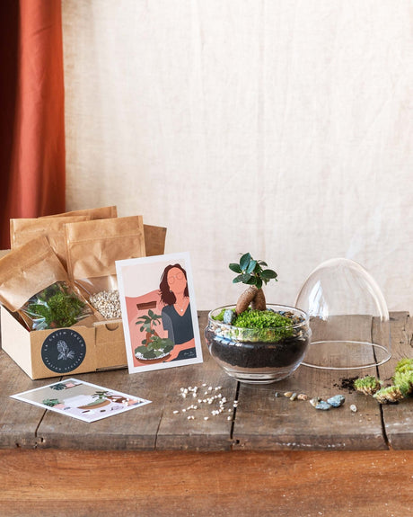 Livraison plante Kit Terrarium DIY - BOHOL