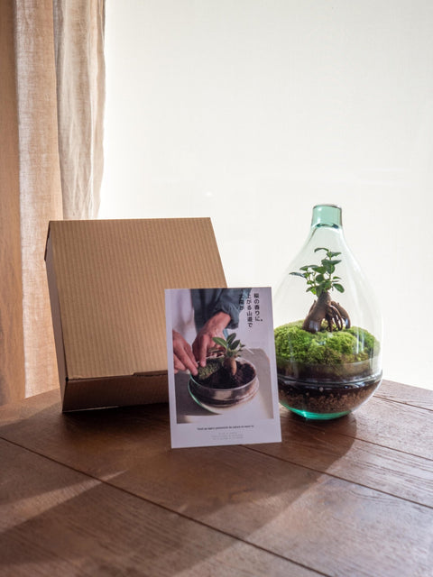 Idées cadeaux de Noël à plus de 100€