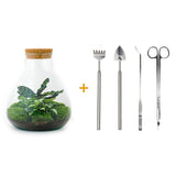 Livraison plante Kit Terrarium DIY - SAMA