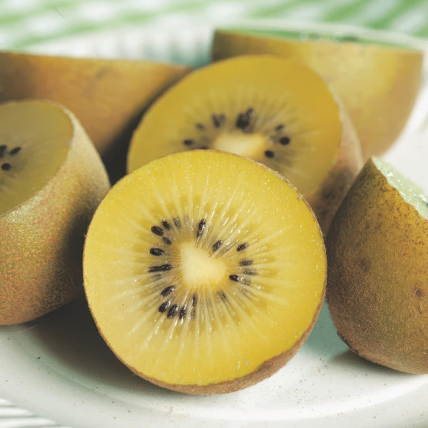 Livraison plante Kiwi doré Actinidia deliciosa – Lot de 2 – Pot 15 cm