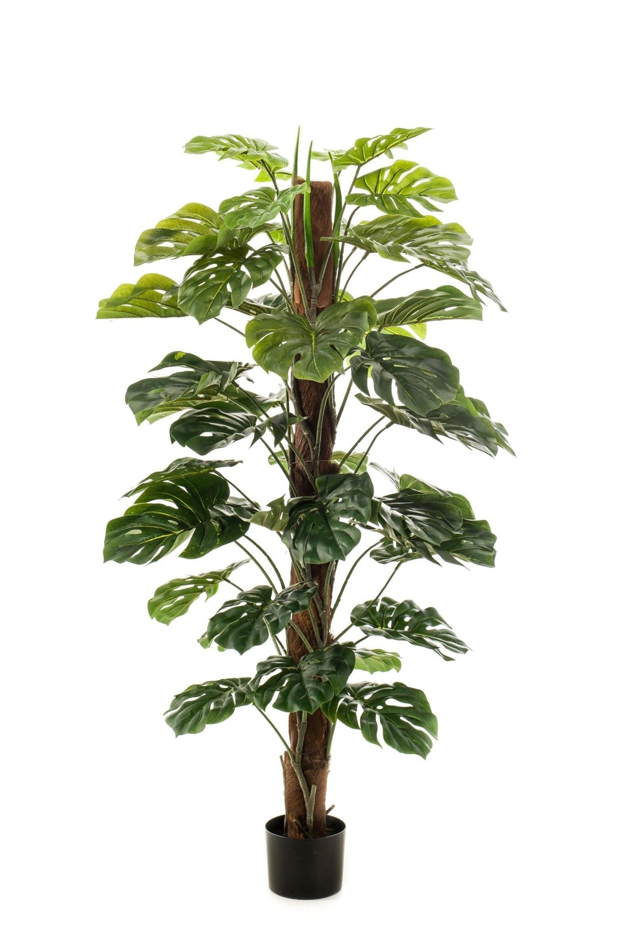 Livraison plante Monstera Deliciosa plante artificielle - h150cm, Ø12cm