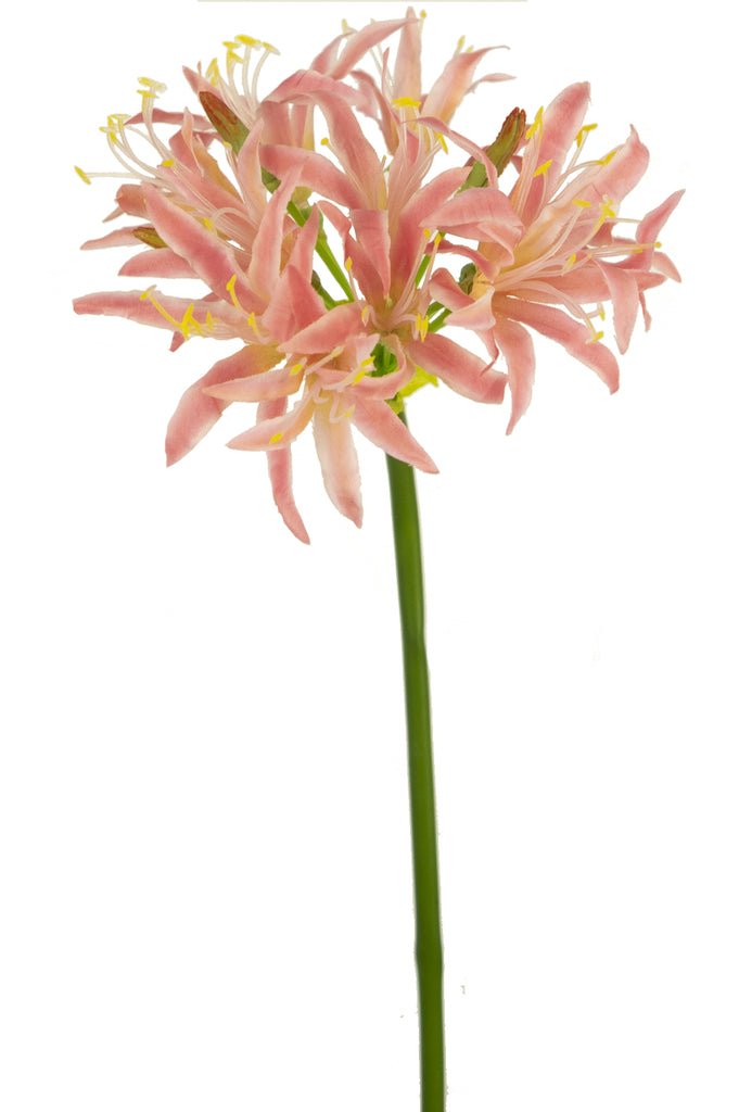 Livraison plante Nerine artificielle rose