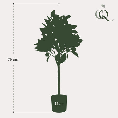 Livraison plante Oranger plante artificielle - h75cm, Ø12cm