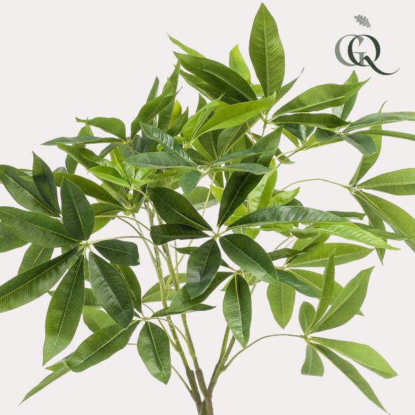 Livraison plante Pachira aquatica artificiel