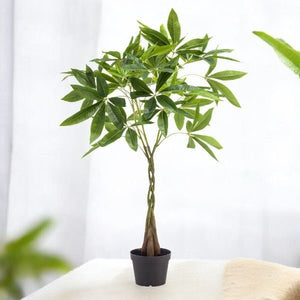 Livraison plante Pachira aquatica artificiel