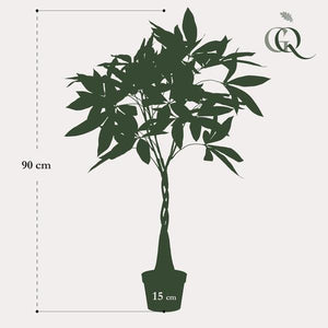 Livraison plante Pachira aquatica artificiel