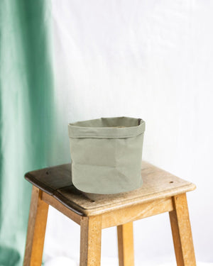 Jade plantekurv 22 cm