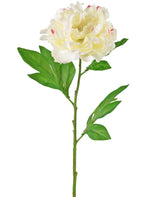 Livraison plante Pivoine artificielle blanche