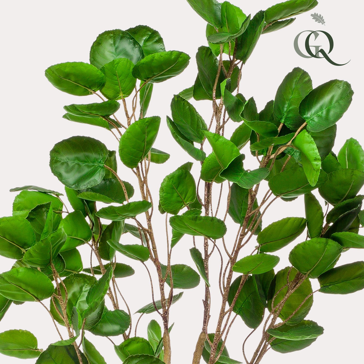 Livraison plante Polyscias Aralia plante artificielle - h150cm, Ø12cm