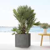 Livraison plante Pot Block Gris 40 cm